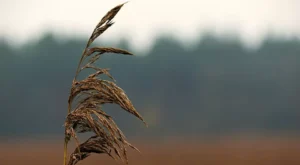 Dropshipping: Stoksuz E-Ticaretin Dinamik Gücü