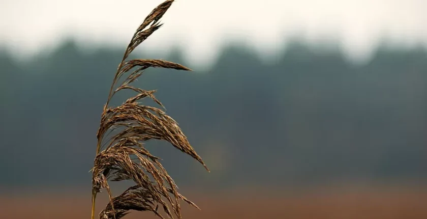 Dropshipping: Stoksuz E-Ticaretin Dinamik Gücü