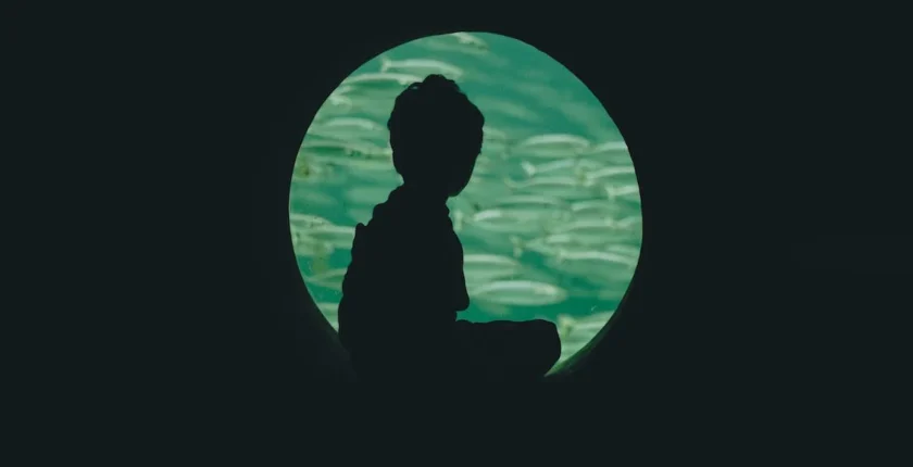 Finansal Özgürlüğe Giden Yol: En Çok Kazandıran 7 Pasif Gelir Kaynağı ve Başarı Taktikleri