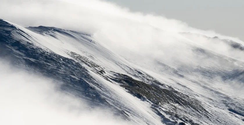 Yatırım Yoluyla Pasif Gelir: Paranın Sizin İçin Çalışması (Detaylı Rehber)