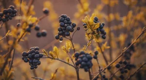 Dijital Kapıyı Aralamak: Blog Açma Rehberi